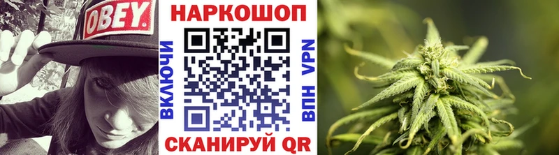 Наркошоп Медногорск АМФ  Псилоцибиновые грибы  Каннабис  Мефедрон 
