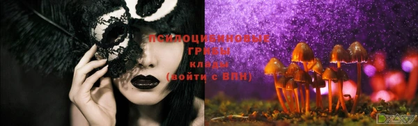метадон Богородицк