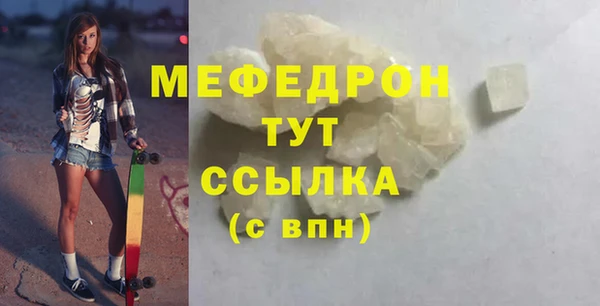 индика Сатка