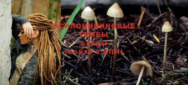 прущая мука Бронницы