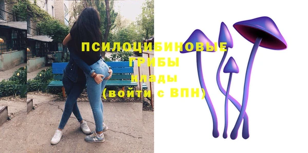прущая мука Бронницы
