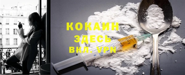 индика Сатка