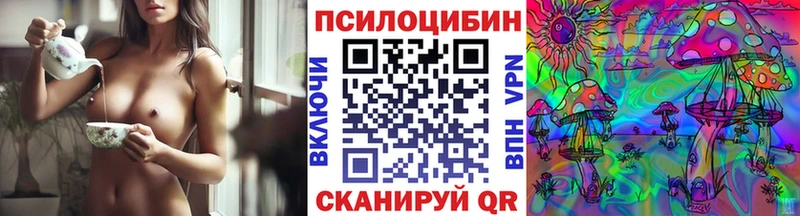 продажа наркотиков  Медногорск  Галлюциногенные грибы MAGIC MUSHROOMS 